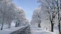 Plan zimowego utrzymania dróg na terenie gminy Chojnów
