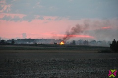 Kolejny potężny pożar. Spłonęło ściernisko w pobliżu Gołaczowa