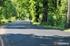 Nowy asfalt na drodze Jaroszówka-Zamienice. Prace w Goliszowie