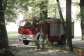 Interwencja strażaków w Parku Piastowskim