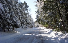 Plan zimowego utrzymania dróg na terenie Gminy Chojnów