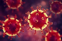 36 nowych zakażeń koronawirusem w Chojnowie