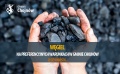 Węgiel na preferencyjnych warunkach dla mieszkańców gminy Chojnów