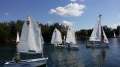 Szkółka pływania Sail Swim zaprasza na półkolonie