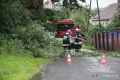 Chojnów w strugach deszczu - strażacy interweniują do połamanych drzew