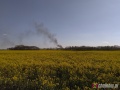 Pożar śmieci na terenie dawnej żwirowni [ZDJĘCIA]