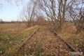 DSDiK rozstrzygnęła przetarg na rewitalizację linii kolejowej Chojnów - Rokitki