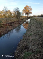 Gmina Chojnów z dofinansowaniem na roboty konserwacyjno-udrożnieniowe Czarnej Wody