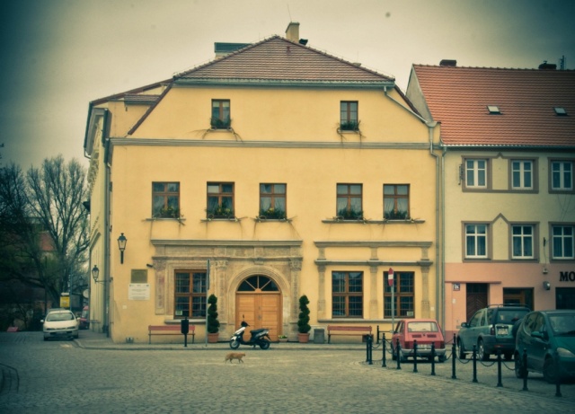 Zdjęcie
