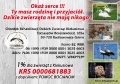 Jeden procent podatku: Klekusiowo zwraca się z prośbą do wszystkich miłośników zwierząt