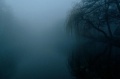 IMGW ostrzega. Meteorolodzy prognozują gęste mgły