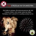 Nie strzelam w sylwestra – dołącz do akcji!