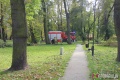 Potężna wichura i zniszczenia. Zamknięte parki [ZDJĘCIA]