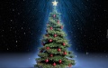 Krótka historia choinki – tego nie wiedziałeś o świątecznym drzewku