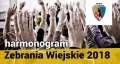 Ruszają zebrania wiejskie w gminie Chojnów