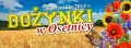 Zaproszenie na Dożynki w Osetnicy