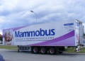 Mamobus w Chojnowie