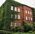 Zjazd Absolwentów ZSR jednak nie we wrześniu. Wydarzenie przeniesione na 2021 rok