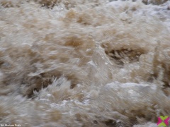 Sorry, taki mamy klimat